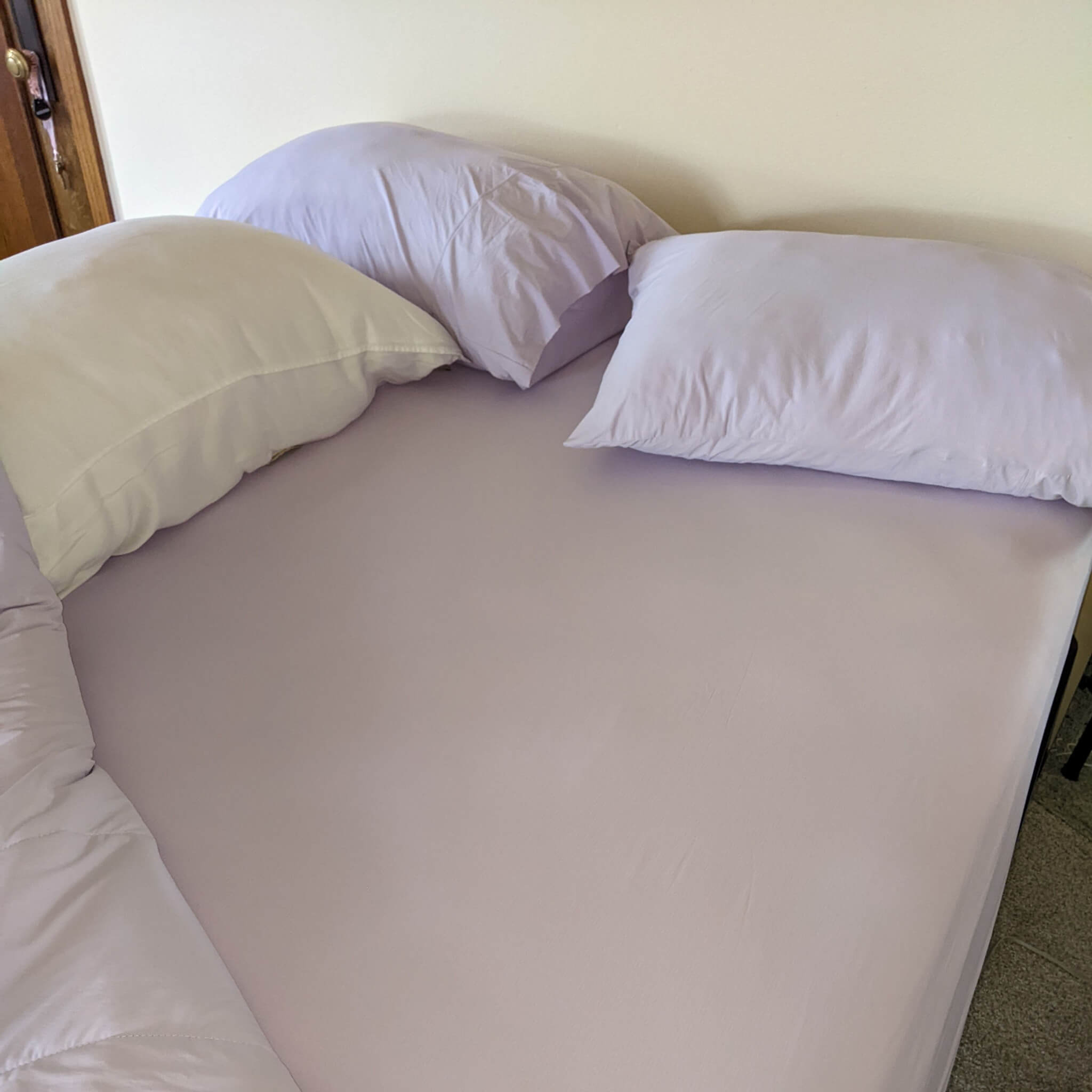 Starter Sheet Product Reviews